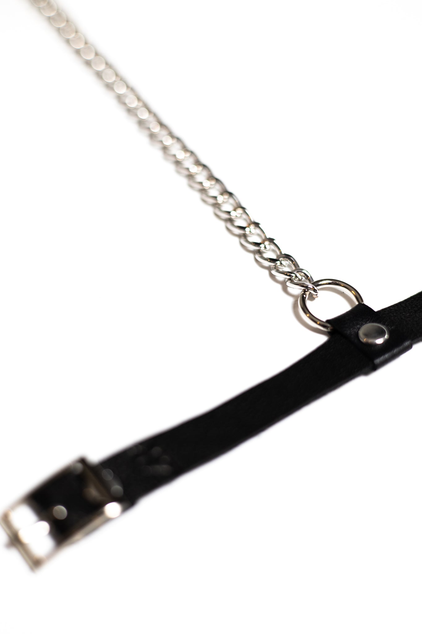 "WARRIOR" leg accessory 2